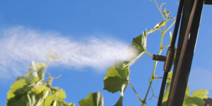 Les systèmes de brumisation : tout ce qu’il faut savoir