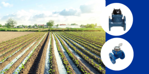 Guide Complet sur les Compteurs d'Irrigation : Optimisez Votre Système d'Arrosage