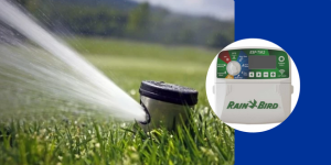 Guide complet sur les programmateurs d'arrosage