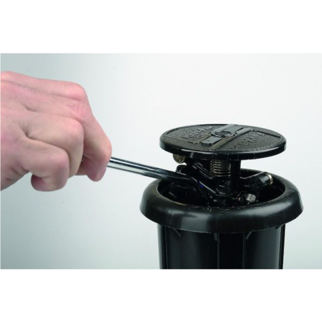 Clé Maxi Paw Rain Bird