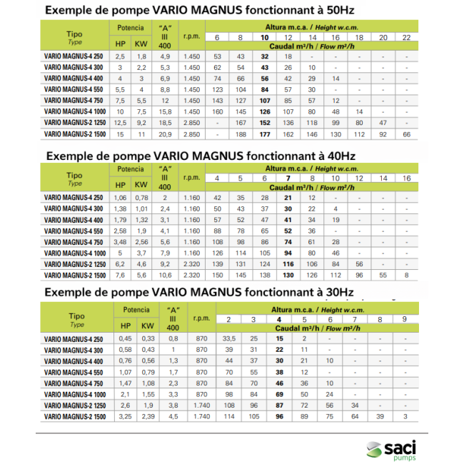 Pompe piscine Magnus VSD Tri Vitesse variable