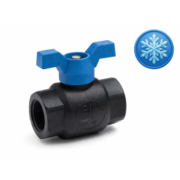 Vanne BS Polypro PN16 grand froid - 1" F