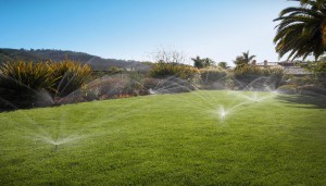 L'arrosage enterré de jardin, le must have de l'efficacité