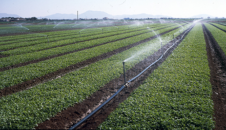 aspersion irrigation