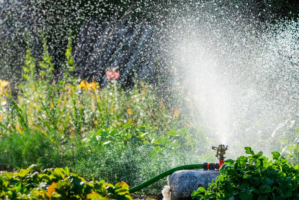 Récupérer l'eau de pluie pour arroser son jardin, les astuces d'Arrosage Distribution