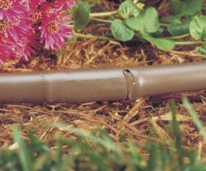 Arroser ses plantations et son potager avec un tuyau goutte à goutte par Arrosage Distribution